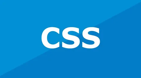 logo-css